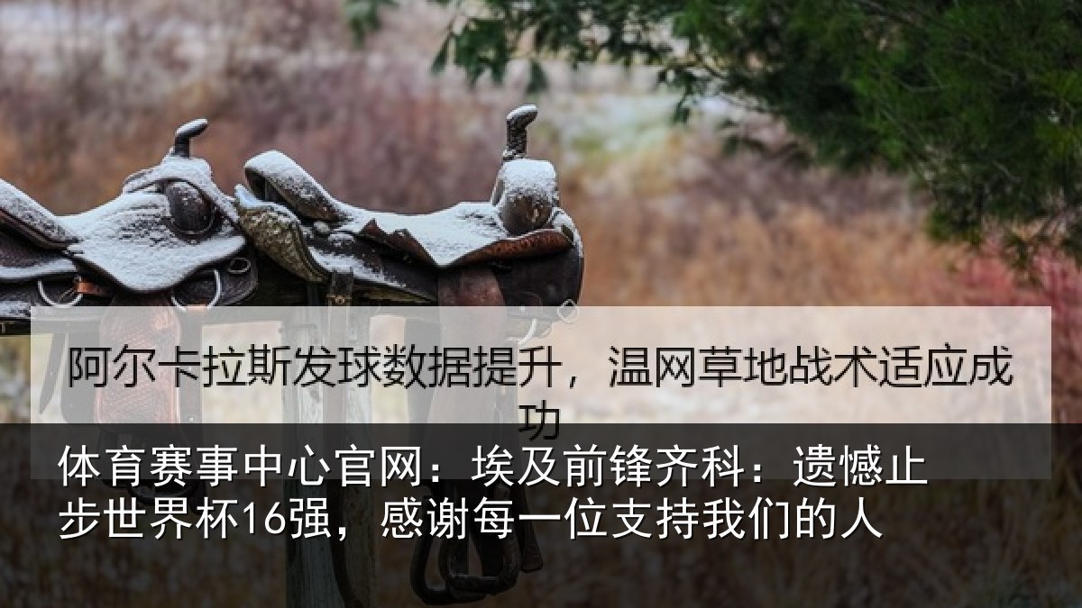 体育赛事中心官网:埃及前锋齐科:遗憾止步世界杯16强,感谢每一位支持我们的人